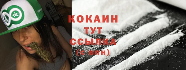 крисы Верея