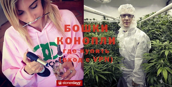 крисы Верея