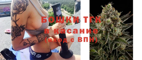 крисы Верея