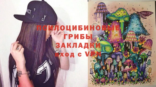 сатива Верхний Тагил