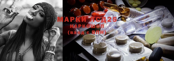 сатива Верхний Тагил