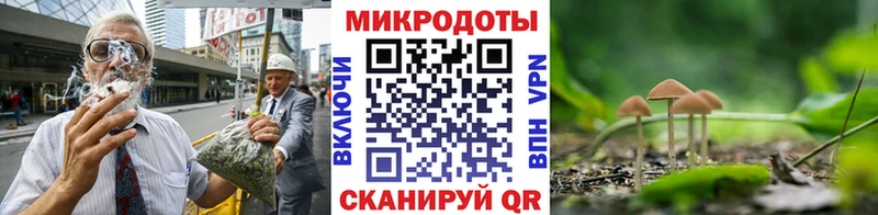 Галлюциногенные грибы мицелий Вяземский